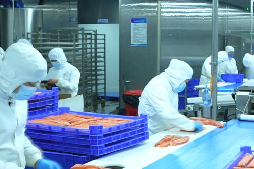 新疆真的產 海鮮 請隨記者到天山看一看 圖說新聞